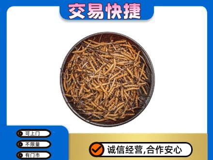 城西区回收散虫草